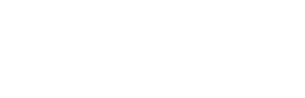 Ford Performance